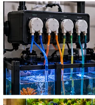 4-Channel Dosing Pump vs Single-Head Doser: Reef Additives, Fertilizer and Future Expansion editorial aquarium equipment image