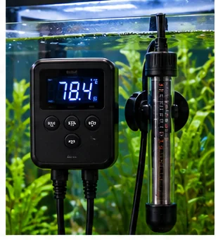 Aquarium Heater Controller vs Built-In Thermostat: Why Redundant Temperature Control Is Worth It editorial aquarium equipment image